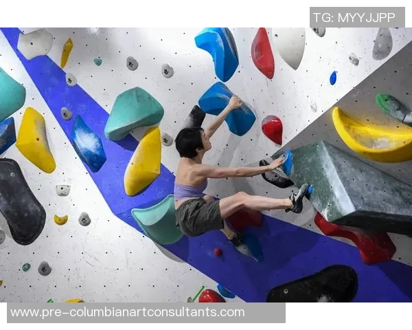 深圳攀岩队比赛经验深度对比及其对未来发展的影响分析